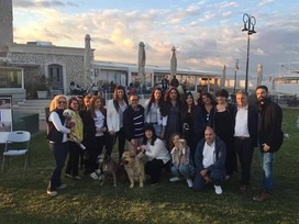 Παγκόσμια Ημέρα Σκύλου: Μια ημέρα για τον καλύτερο φίλο του ανθρώπου και των αναδόχων στο Δήμο Πατρέων.