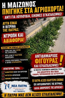 Από Αντιδήμαρχος Πρασίνου... Αντιδήμαρχος φιγούρας και εγκατάλειψης.