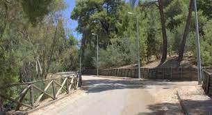 «Δες το ΔΑΣΥΛΛΙΟ» κύριε Πελετιδή.  Μια βόλτα αρκεί για να αποτραπεί μια καταστροφή.